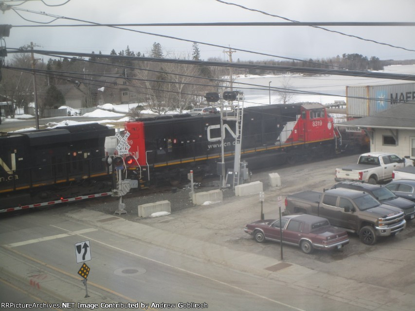 CN 8319
